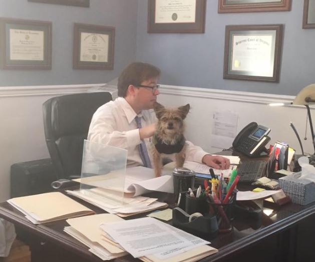 David Eddy – Bristol Estate Planning Attorney